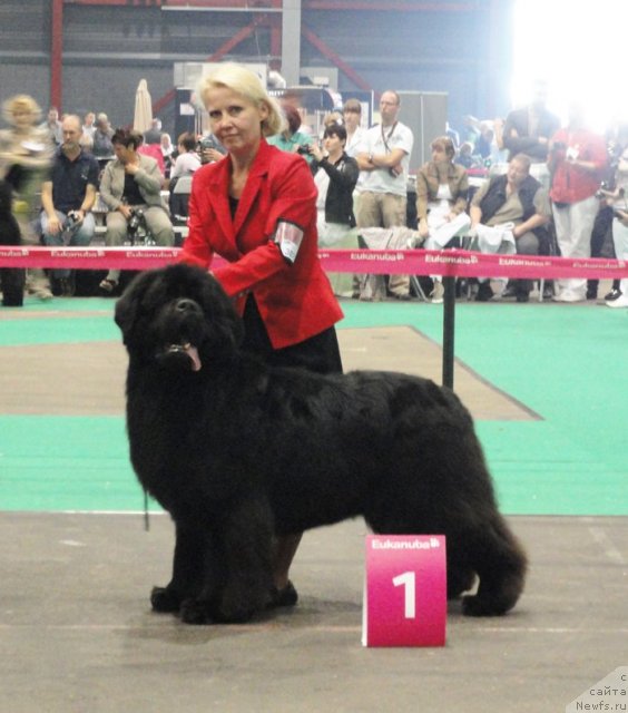 Фотография № 76557