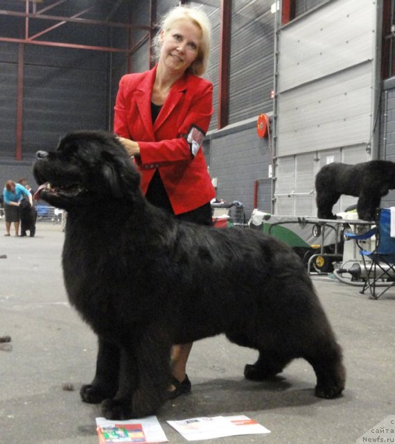 Фотография № 76558