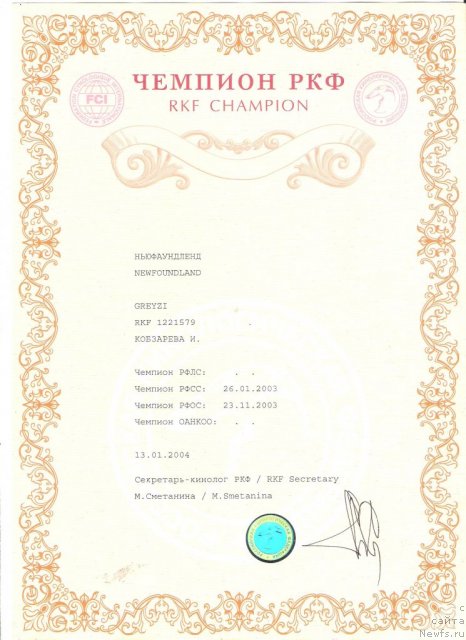 Фото: ньюфаундленд Грейзи (Greyzi)