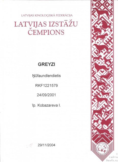 Фото: ньюфаундленд Грейзи (Greyzi)