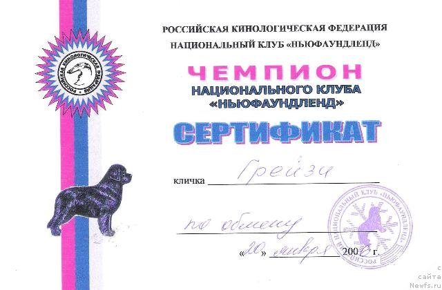 Фото: ньюфаундленд Грейзи (Greyzi)