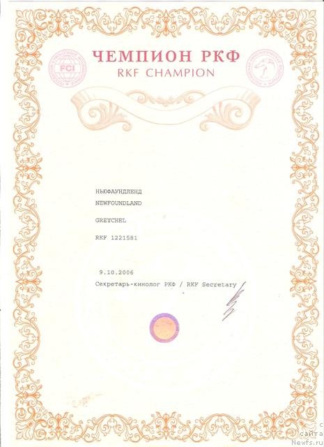 Фото: ньюфаундленд Бонифаций (Bonyfatciy)