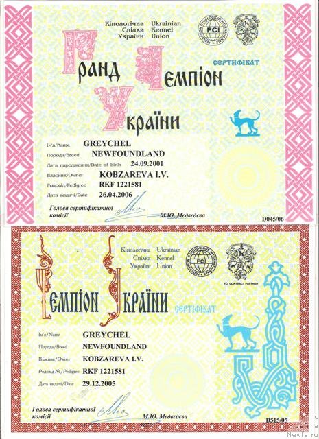 Фото: ньюфаундленд Грейчел (Greychel)