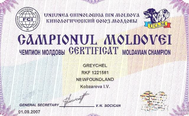 Фото: ньюфаундленд Грейчел (Greychel)
