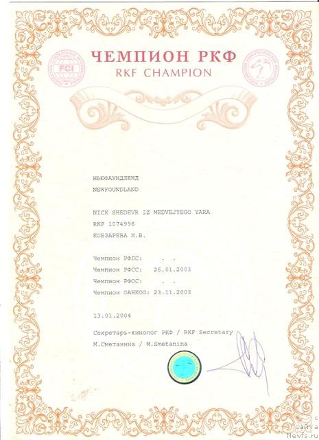 Фото: ньюфаундленд Ник Шедевр из Медвежьего Яра (Nick Shedevr iz Medvejyego Yara)