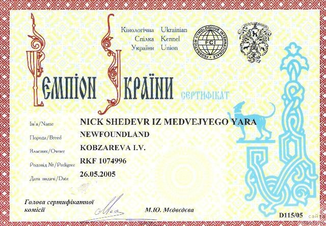 Фото: ньюфаундленд Ник Шедевр из Медвежьего Яра (Nick Shedevr iz Medvejyego Yara)