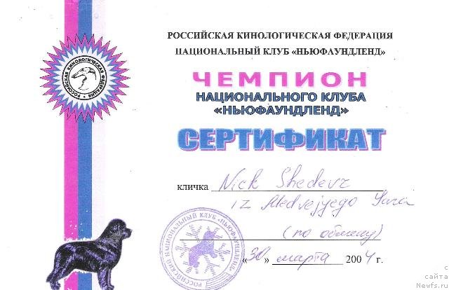 Фото: ньюфаундленд Ник Шедевр из Медвежьего Яра (Nick Shedevr iz Medvejyego Yara)