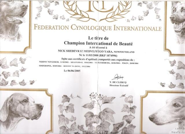 Фото: ньюфаундленд Ник Шедевр из Медвежьего Яра (Nick Shedevr iz Medvejyego Yara)