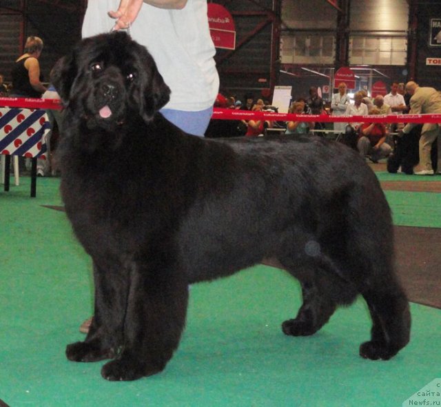 Фотография № 76590