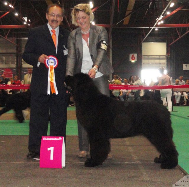 Фото: Very Fairweathtr's Velvet Fay