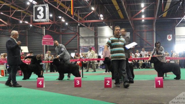 Фотография № 76594