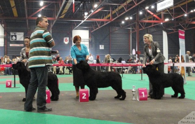 Фотография № 76595