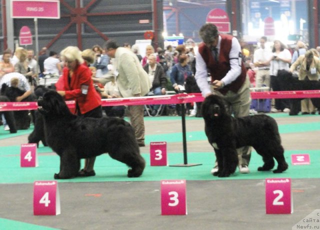 Фотография № 76596