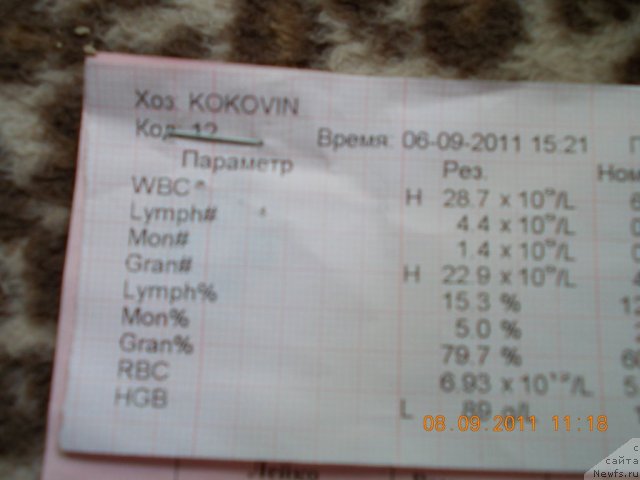 Фотография № 76603