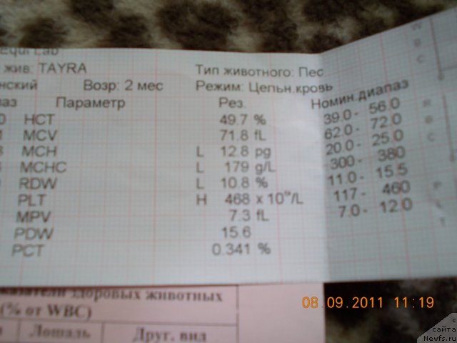 Фотография № 76604