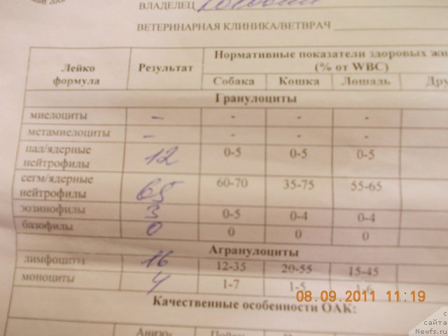 Фотография № 76605