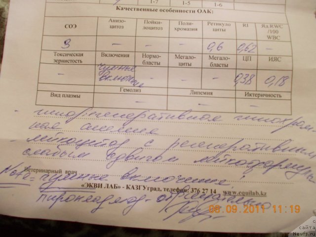 Фотография № 76606