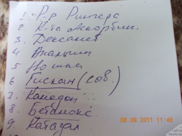 Фотография № 76608