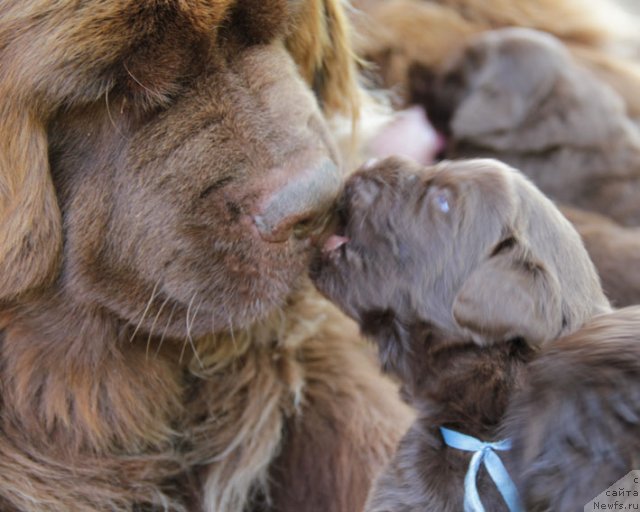 Фотография № 76615