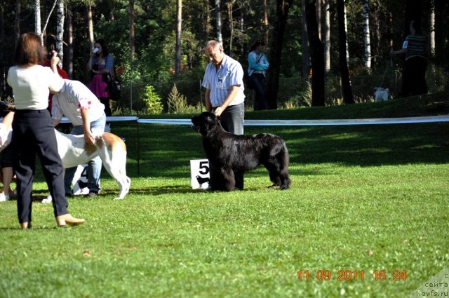 Фотография № 76703