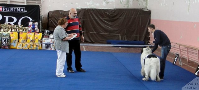 Фотография № 76711