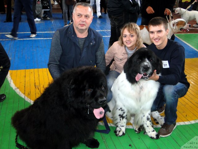 Фотография № 76714