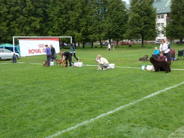 Фотография № 76754