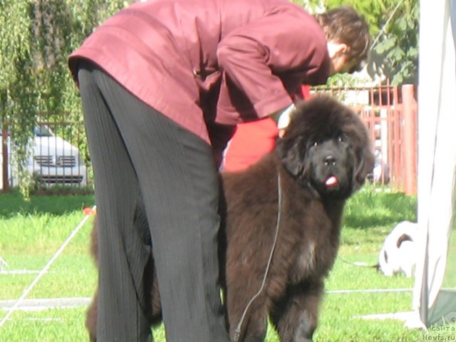 Фото: BEGUSHAYA PO VOLNAM ZOOM ZOOM