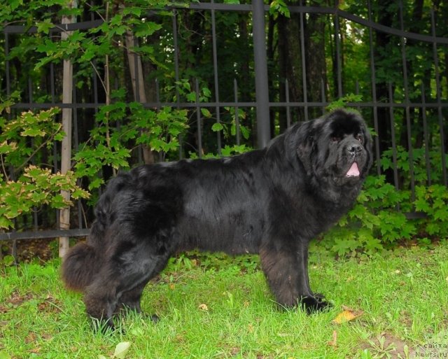 Фотография № 76774