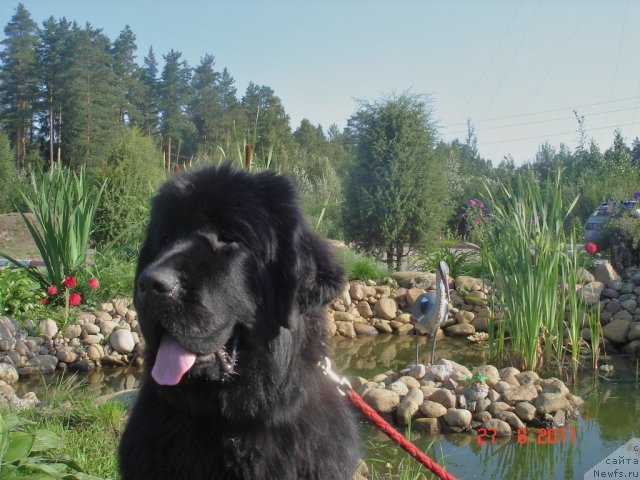 Фотография № 76829