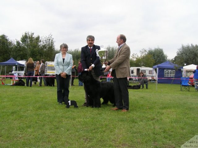 Фотография № 76865