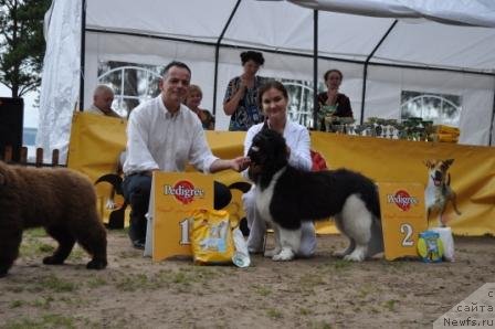 Фотография № 76868