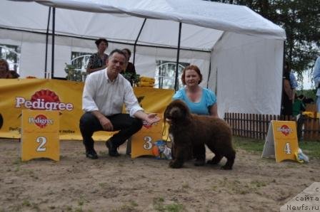 Фотография № 76869