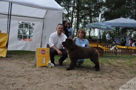 Фотография № 76870