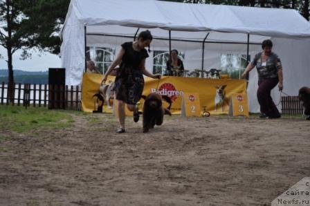 Фотография № 76872