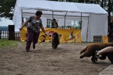 Фотография № 76873