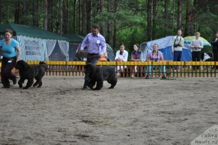 Фотография № 76877