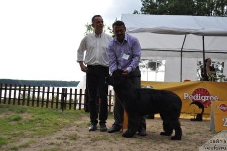 Фотография № 76880