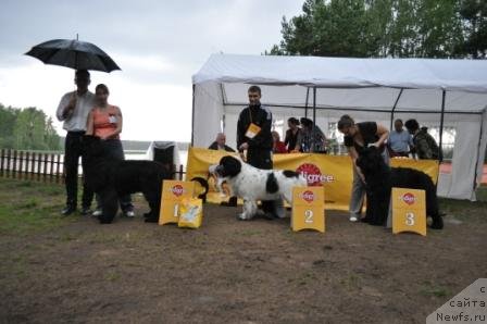 Фотография № 76881