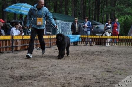 Фотография № 76884