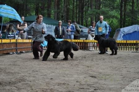 Фотография № 76885