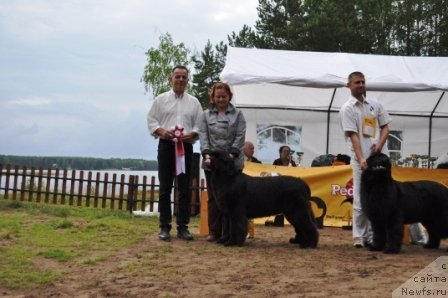 Фотография № 76887