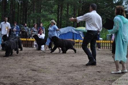 Фотография № 76889