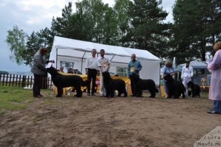 Фотография № 76890