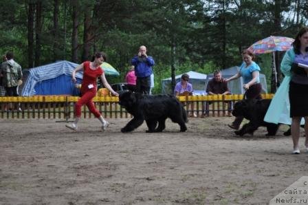 Фотография № 76891