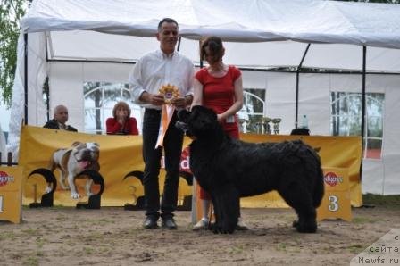 Фотография № 76892