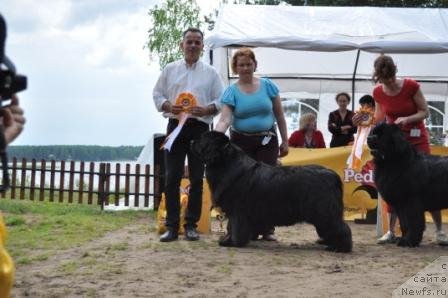 Фотография № 76893