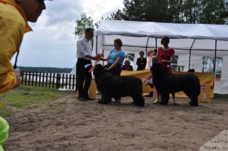 Фотография № 76894