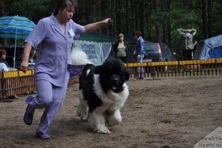 Фотография № 76895