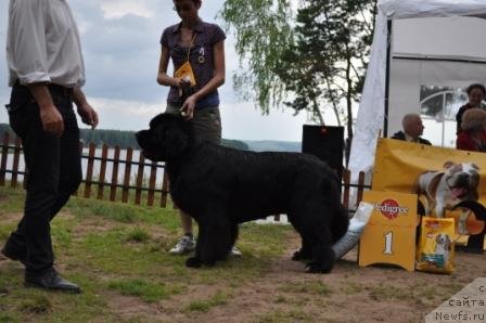 Фотография № 76898